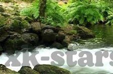 今晚足球日本比分-今夜绿茵烽火,日本队今晚足球比分的深度剖析与展望